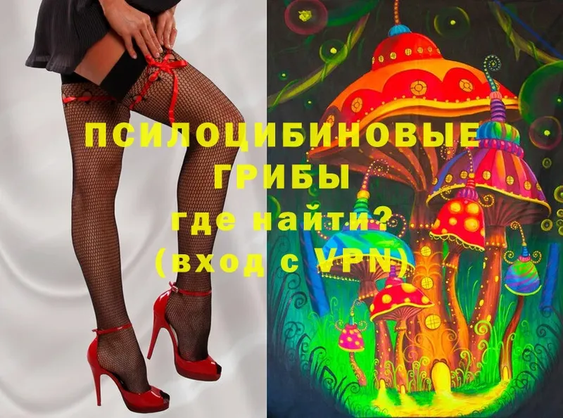 MEGA ссылка  Трубчевск  Галлюциногенные грибы Cubensis 